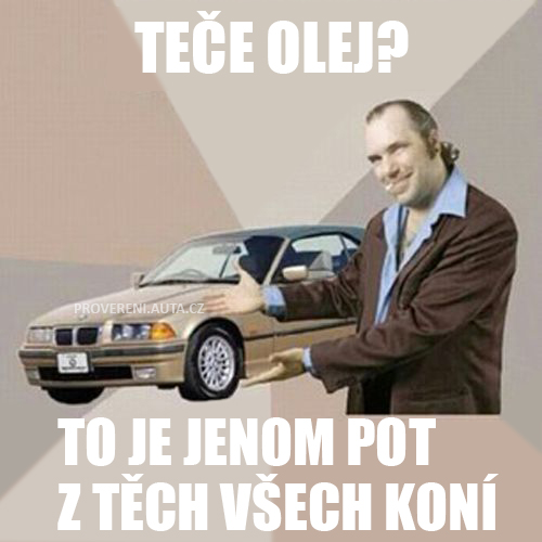 mechanik meme